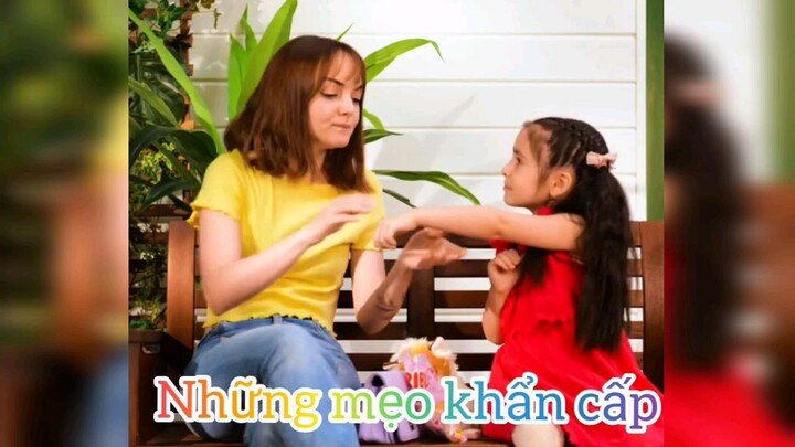 mẹo trị ong đốt