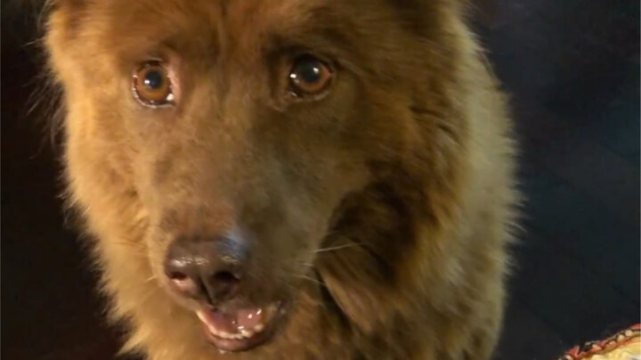 ตอนกินไปเรื่อยๆ ฟันของฉันเผลอโดนฉันเองนิดหน่อย แล้วกลับรู้สึกเขินด้วย