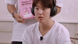 这次是搞到真的猫猫和仓鼠了