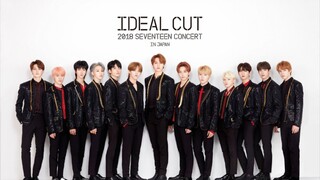 SEVENTEEN 'IDΣΛL ᑕЦͲ' IN JΛPΛN MΛKlПG FlLᗰ