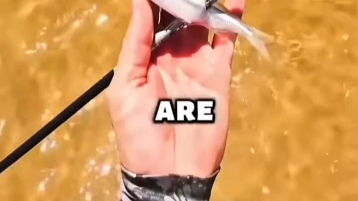 The avengers haven't been doing well lately...