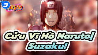 Cửu Vĩ Hồ Naruto|Moon trông chừng Crows, và Sky chiếu sáng lên Suzaku!_3