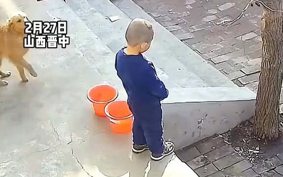 Love-Struck Little Bro: Once I’m done peeing, we’ll settle who’s better—and who lives or dies!!!