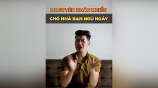 5 nguyên nhân khiến chó nhà bạn ngủ ngáy petonesaigon tuitienpet petnhatrang dcgr