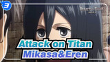 [Attack on Titan] Kompilasi Mikasa&Eren Cut_B3