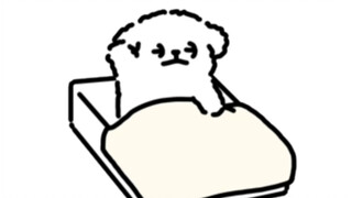 都怪我以前不懂事
