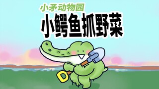 [Kebun Binatang Tombak Kecil] Buaya kecil menangkap sayuran liar, dan itu sangat mudah.