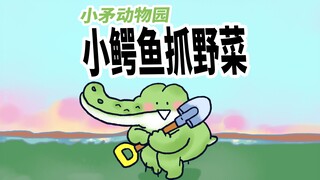 【小矛动物园】小鳄鱼抓野菜，真省劲儿。