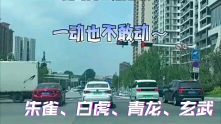The Four Divine Beasts of the Road