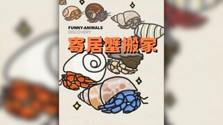 我愿称寄居蟹为二手房专家！