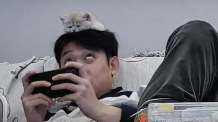 A heartwarming scene from the surveillance footage: The kitten says, “So lame—can your phone really 