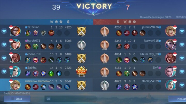 ipong 13 pro max