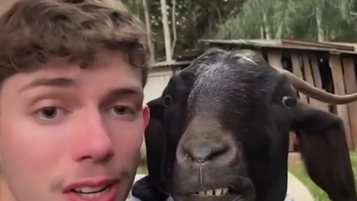 It’s so intense, so intense—there’s just so much to learn!