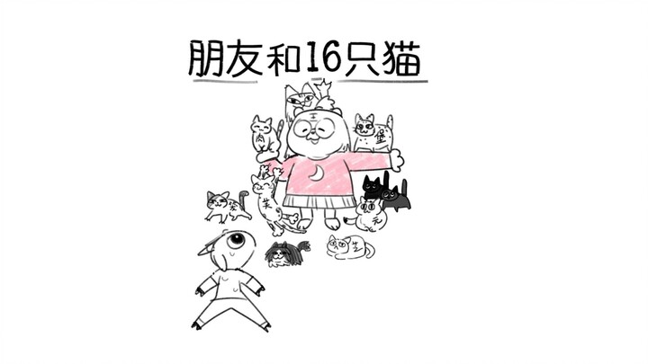 Tentang tinggal serumah dengan 16 ekor kucing...
