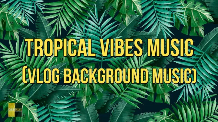 Tropical Vibe background music