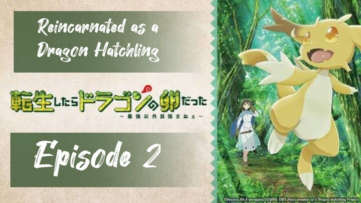 Reincarnated as a Dragon Gatchling ( Episode 2 )