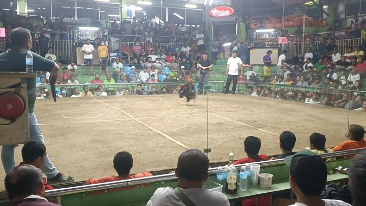 3 Hits Ulutan @ Sta. Monica Cockpit. 2nd fight Championship. Right Side Win. Possum Sweater