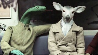 Trong một xã hội thờ ơ và bệnh hoạn, một con rắn điên quấy rối cô Deer trên tàu điện ngầm trong khi 