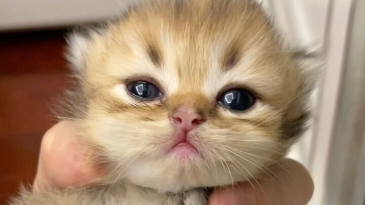 生完就扔？？？