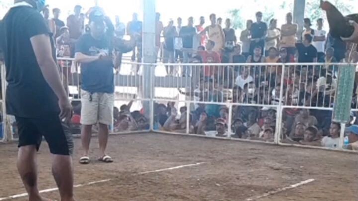 hack fyt: super sweater late born vs national banded