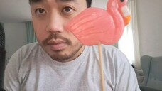 ASMR Flamingo Lollipop 🍭 Eating Sounds & Chinese Trigger Words