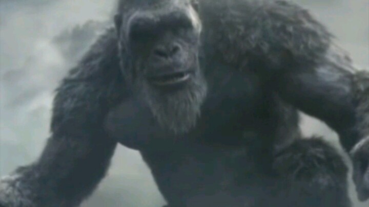 King Kong Discovers a Hidden World Beneath His Home! 😱 | Movie Experiment in English