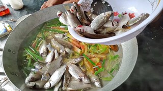 Cá Đối Tươi Rối ''NẤU CANH NGÓT'' Lót Dạ Bữa Cơm trên Ghe | Ngư Dân Miền Tây