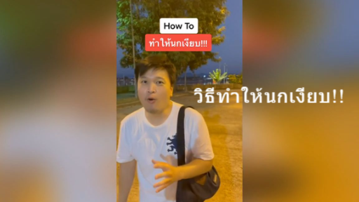 วิธีทำให้นกเงียบ!!