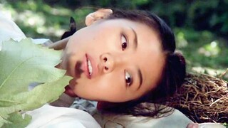 【العروس】هذا فيلم قديم يرتدي ثوبًا مثيرًا، لكن تقريبًا الجميع لم يفهموه!