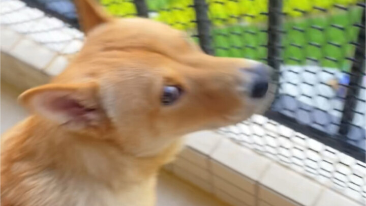 嚣士：喝不完！根本喝不完！！！！