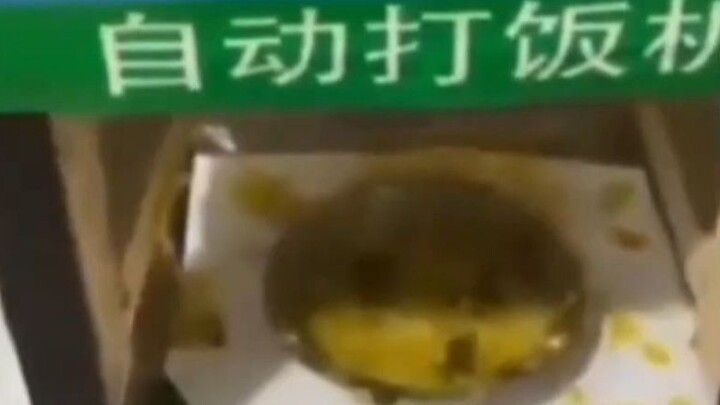 وجبة شهية بكل تفاصيلها من اللون والرائحة والطعم – ولا تنسَ أن لديك أخًا محبًّا للطعام يسيل له اللعاب