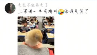 老师上课期间没收的奇葩物品合集