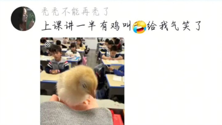 老师上课期间没收的奇葩物品合集