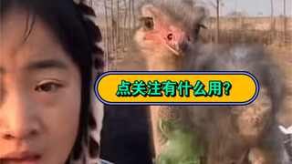 What's the point of you following me, anyway?