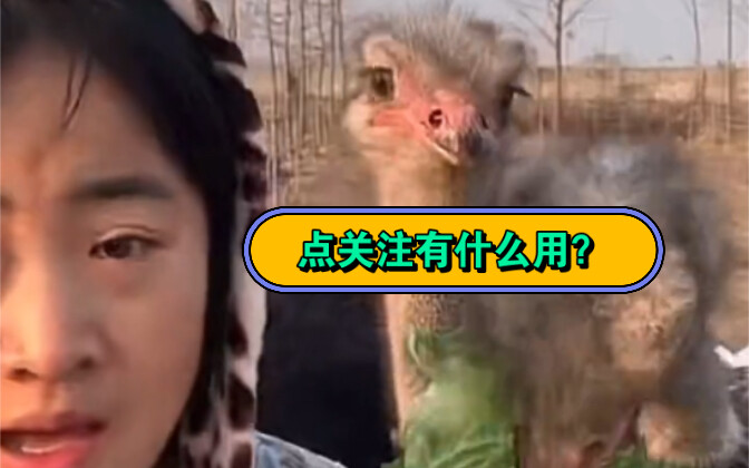 Bạn bảo tôi nhấn theo dõi thì có ích gì chứ?