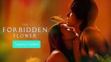 THE FORBIDDEN FLOWER Ep.22 Tagalog Dubbed