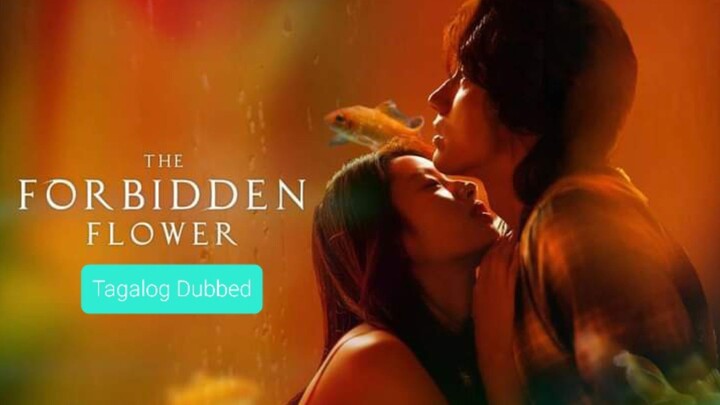 THE FORBIDDEN FLOWER Ep.14  Tagalog Dubbed