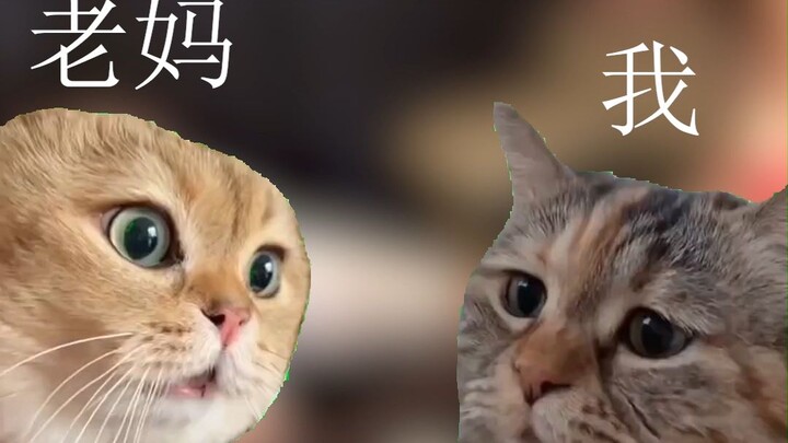 เมื่อแม่รู้ว่าฉันกำลังตัดต่อวิดีโอโฮโม