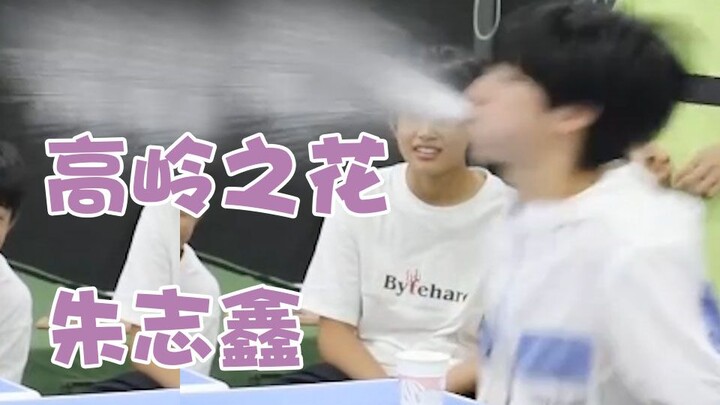 【Chu Chí Tân】Cách thưởng thức “đóa hoa trên đỉnh núi” Chu Chí Tân đúng chuẩn