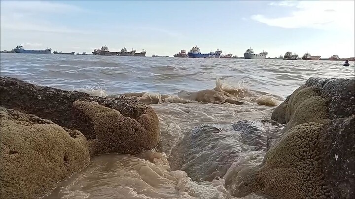 Sea live view