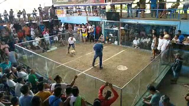 PanaLo#WaLangSugat#2ndFight