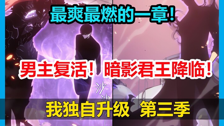 💥最爽最燃！暗影君王完全降临！爆锤君王！男主老爸最后的波纹！💥【我独自升级 第三季】