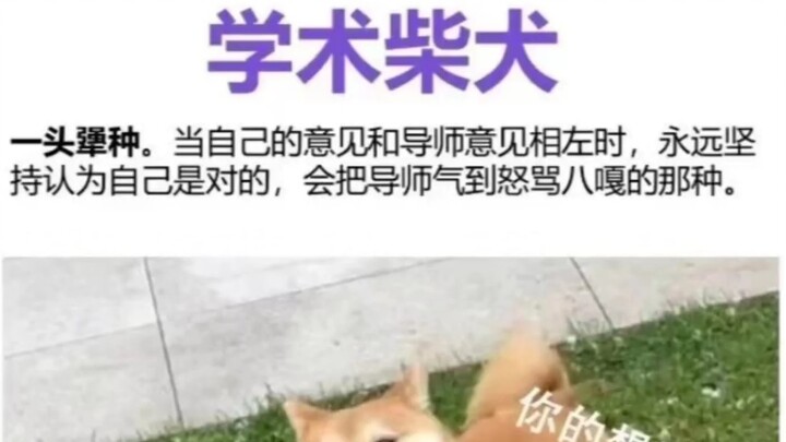 Những meme nghiên cứu khoa học xem lần nào cũng phải bật cười, ai mà nghĩ ra những mẩu truyện cười n