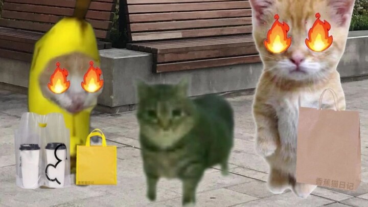 แมวกล้วยหอมกับตุ๊กตาทะเลาะกัน ทำให้โออิไอลำบากใจไปเลย