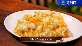 ปัญญา 5 ดาว | EP.118 | 14 ต.ค. 67 | SPOT