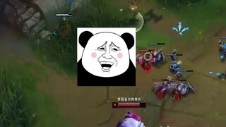 Dog head, brother, look at how I learn