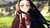 Nezuko embraced the sun, it would be better to say that the sun embraced the beans
