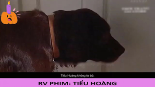 Đừng nhớ nhung quá khứ, nên sống tốt hiện tại - Tiểu Hoàng - Part 4#reviewphim