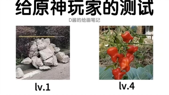 《给原神玩家的测试题》 【原神整活】