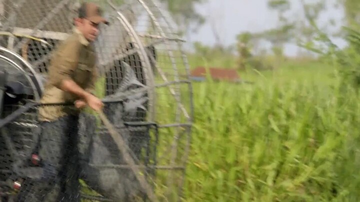 Lãnh địa cá sấu hoang EP 8 [Sub Việt]